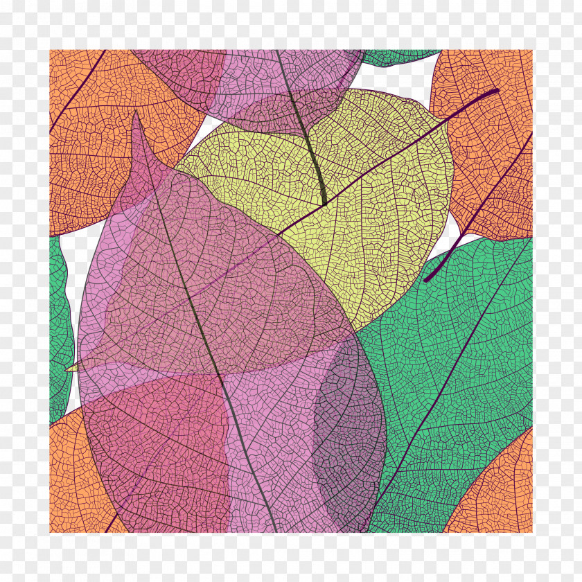 Colour Leaves Are Free From Picking PNG