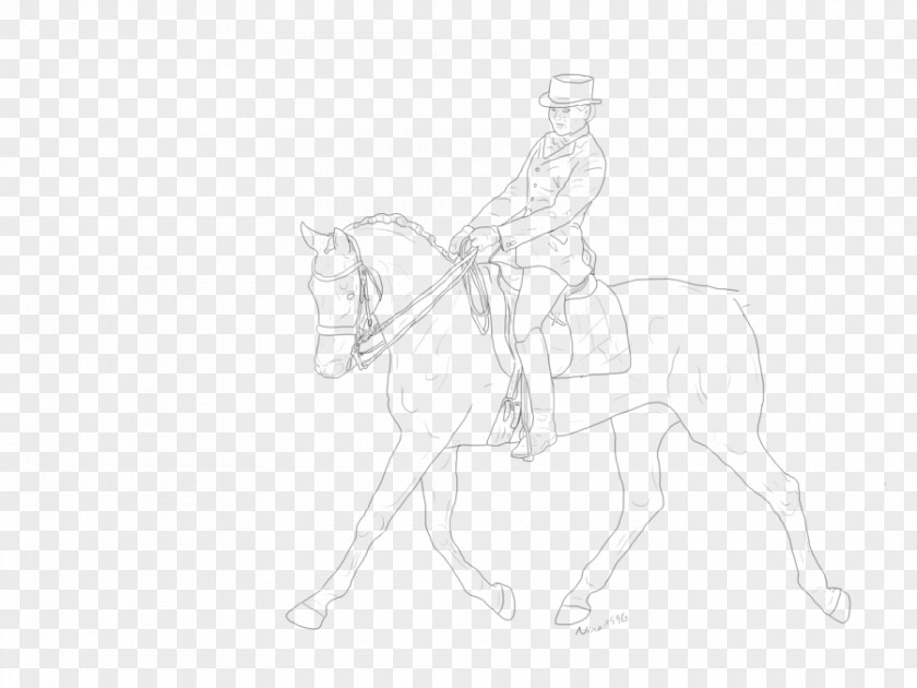 Horse Mane Dressage Bridle Line Art PNG