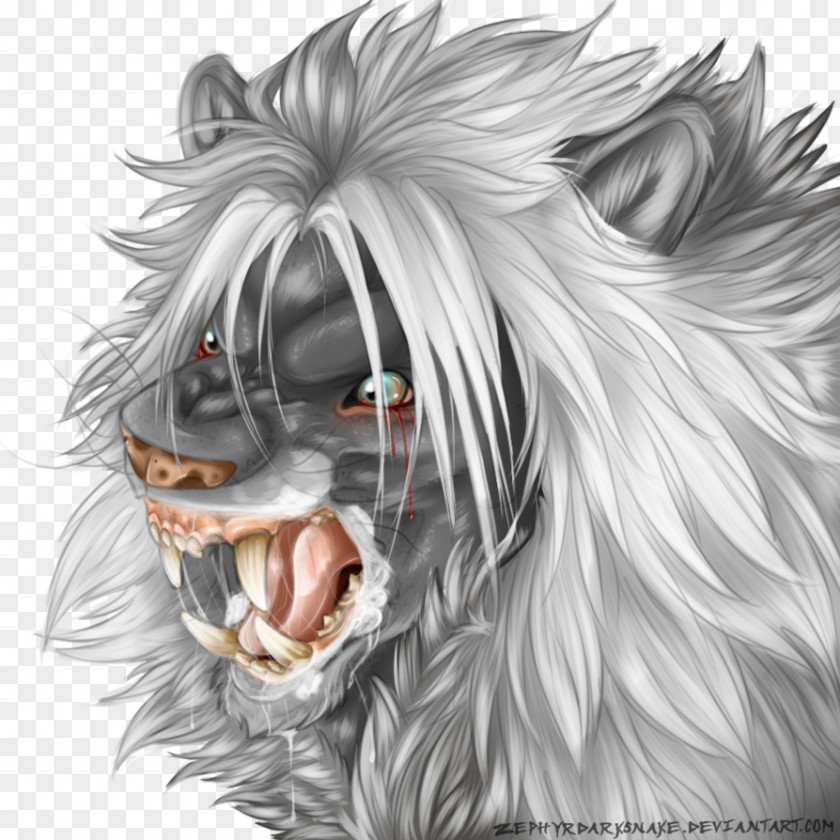 Lion Detroit Lions Cougar Dog Whiskers PNG