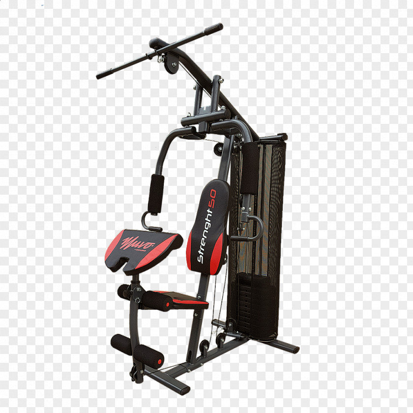 Strenght Fitness Centre Exercise Equipment Physical PNG