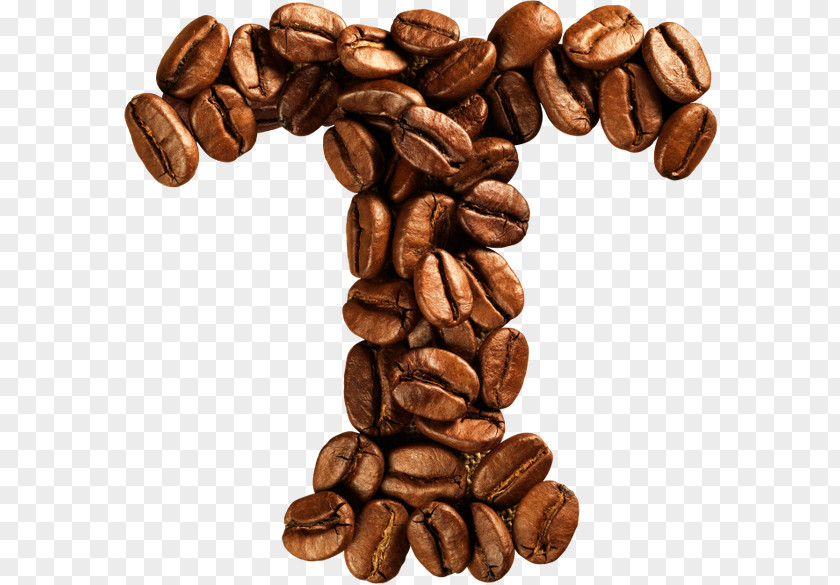 Coffee Jamaican Blue Mountain Bean Data Compression PNG