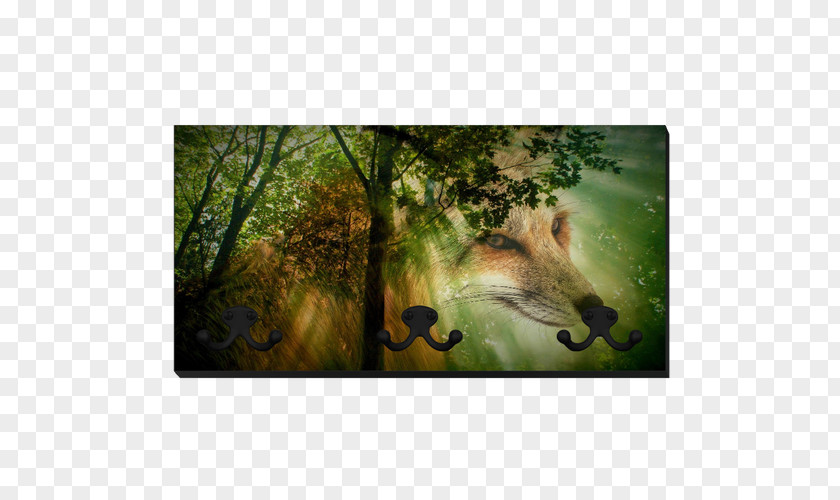 Forest Red Fox Desktop Wallpaper Wildlife PNG
