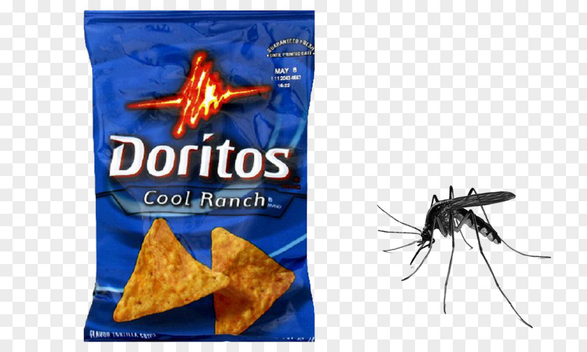 Mosquito Net Nachos Doritos Flavored Tortilla Chips Cool Ranch 1.75 Ounce Pack Of 64 Potato Chip PNG
