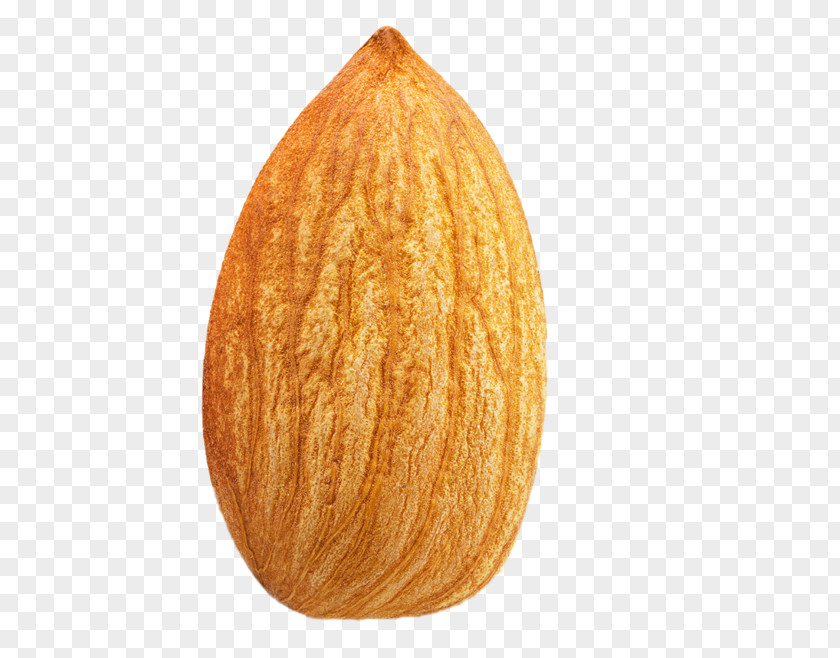 Nuts Almond Nut Fruit PNG