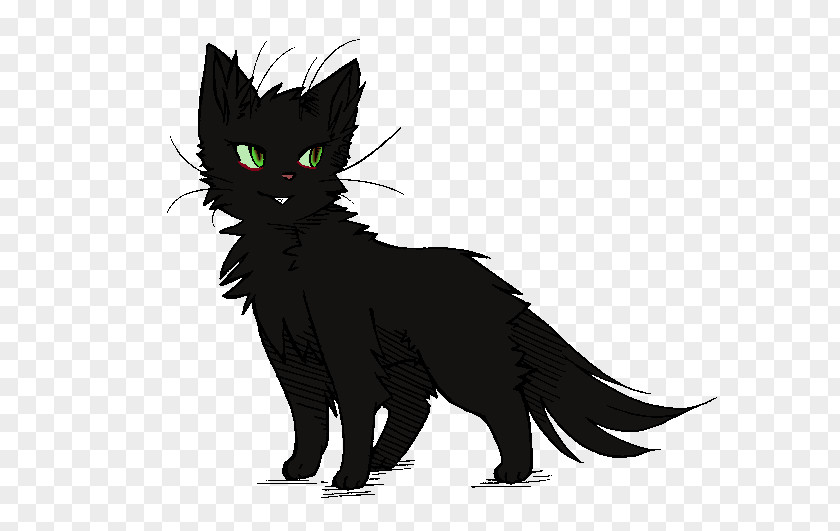 Hollyleaf Black Cat Kitten Whiskers Domestic Short-haired PNG
