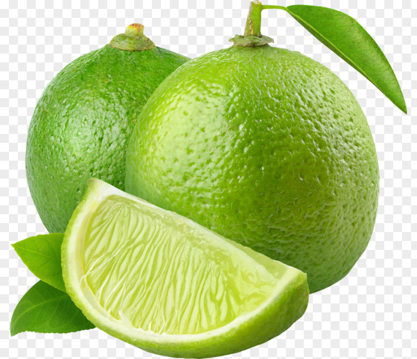 Lime Clip Art Key Fruit PNG
