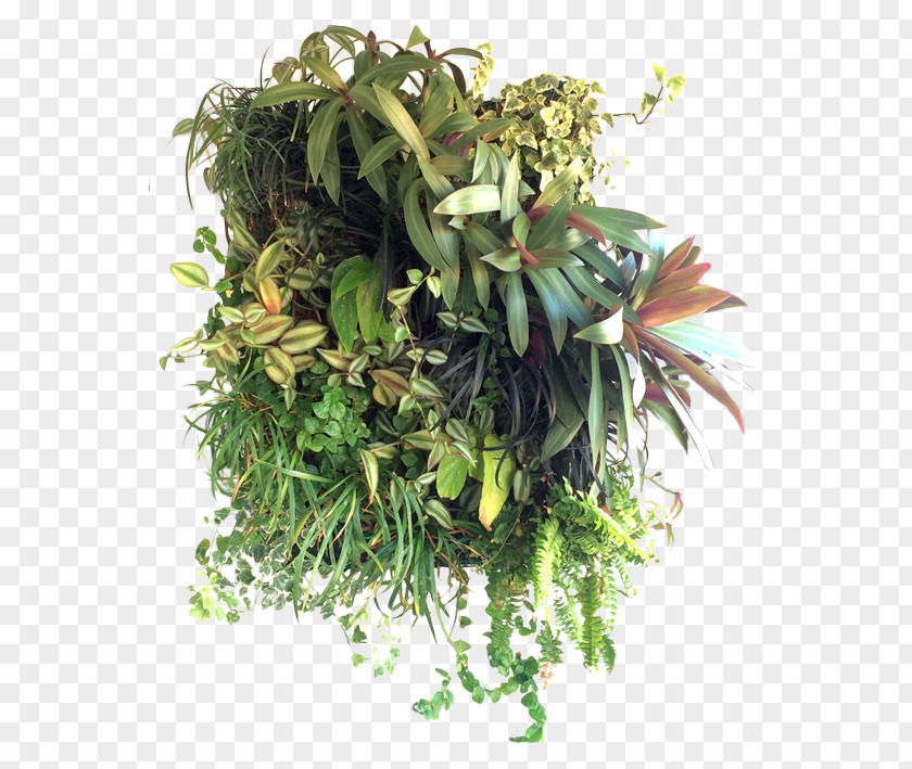 Suculent Flowerpot Floral Design Floristry PNG