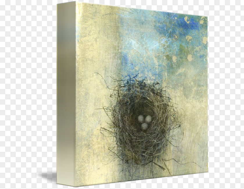 Bird Nest Painting Gallery Wrap Canvas PNG