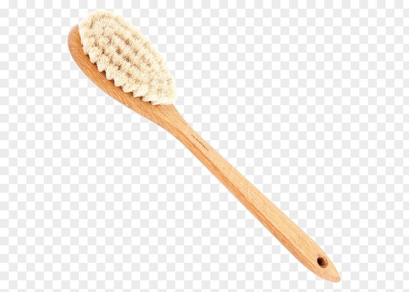 Brush Bristle Scrubber Horsehair Bathtub PNG