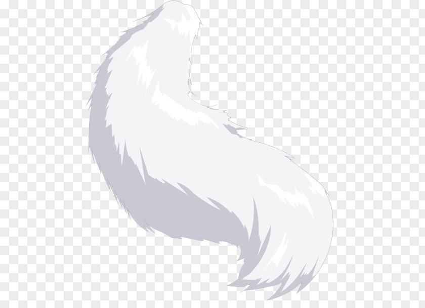 Cat Tail Feather Paw Pet PNG