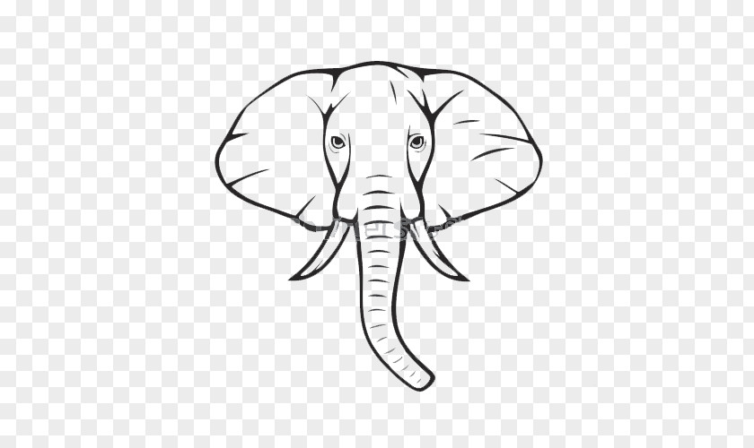 Elephant Illustration African Drawing Indian Clip Art PNG