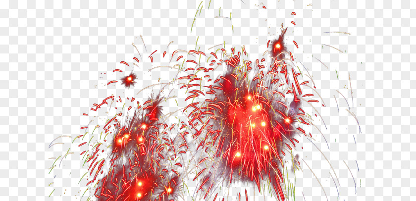 Fireworks,explosion,Colorful Christmas Ornament PNG