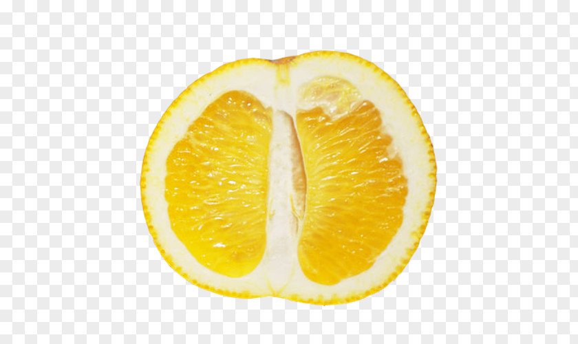 Lemon Tangelo Rangpur Grapefruit Citrus Junos PNG
