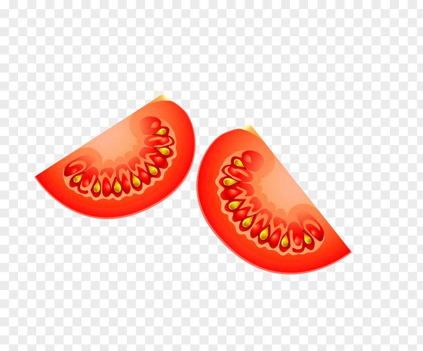 Vector Tomato Fruit Vecteur PNG