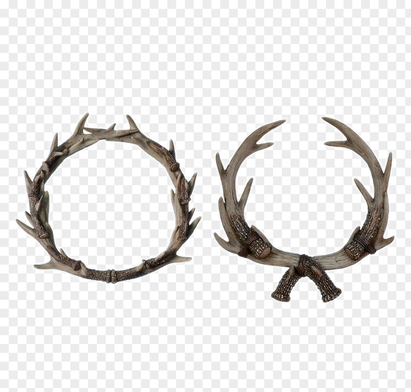 Antlers Home Decoration Moose Antler Elkhorn Fern PNG