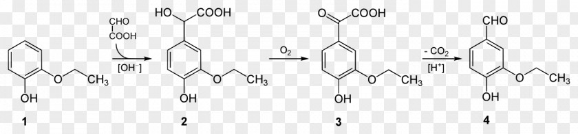 Ethylvanillin Organic Chemistry Chemical Reaction Condensation PNG