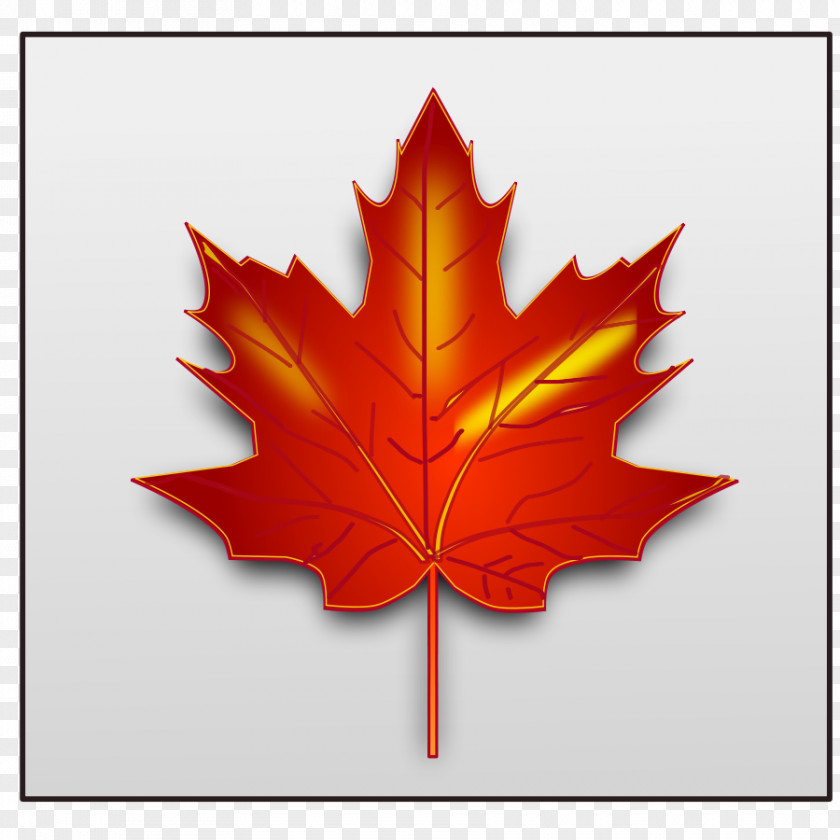 Maple Leaf Ornament Clip Art PNG