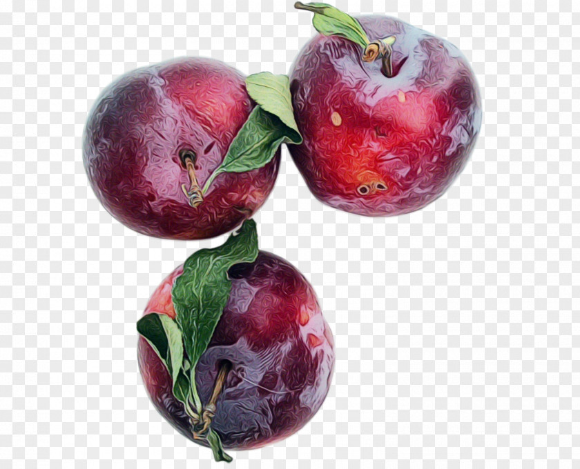 Superfruit Plum European Fruit Plant Food Superfood PNG