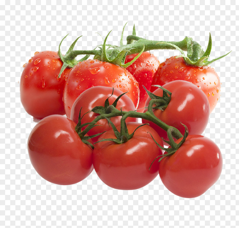 Tomatoes Pictures Tomato Paste Ripening Canned Extract PNG