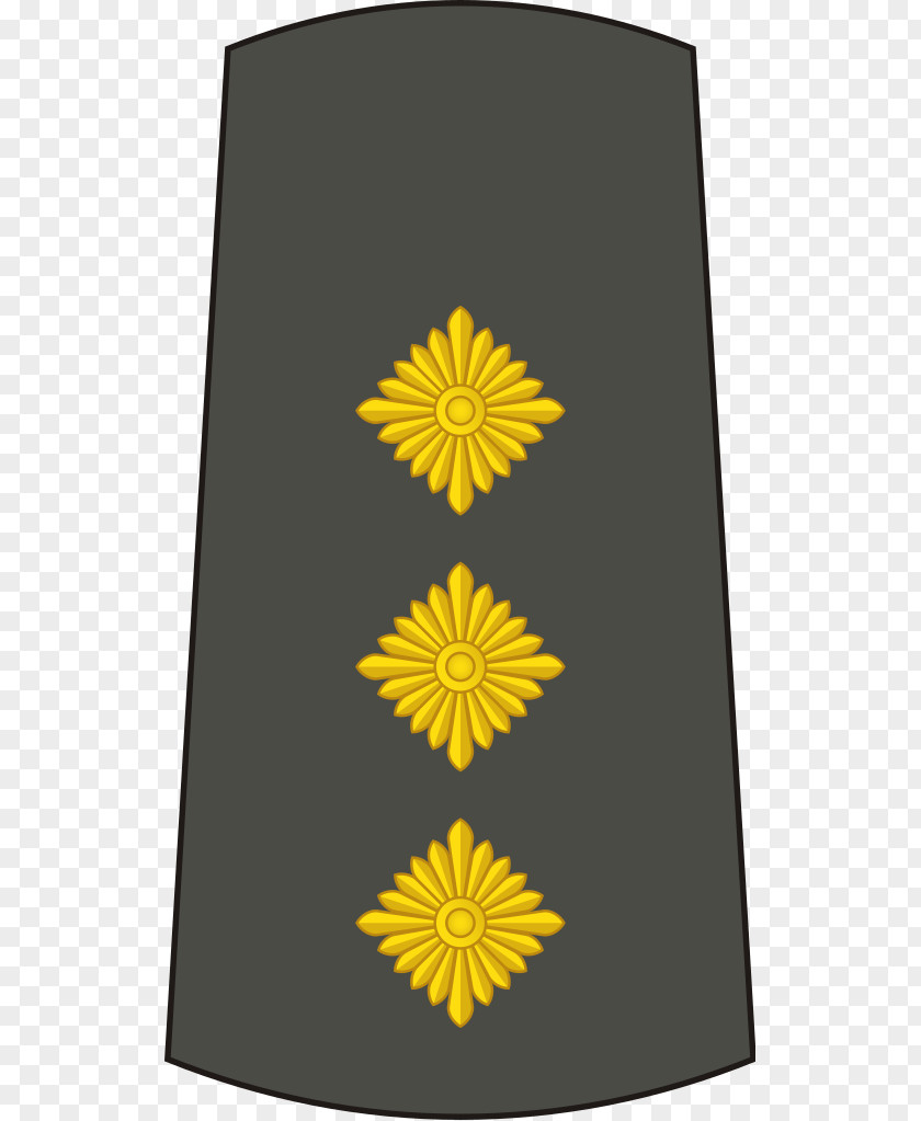 Army Lieutenant General Colonel Captain Major PNG