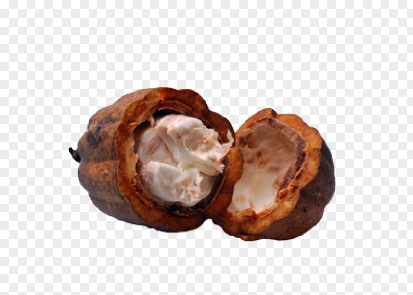 Butter Cream Cocoa Bean Food PNG