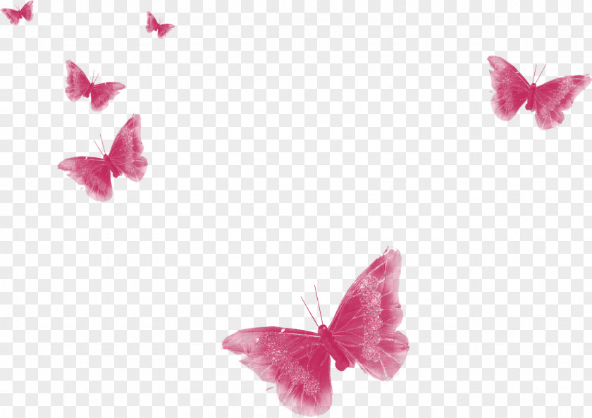 Butterfly Download Paper Wallpaper PNG