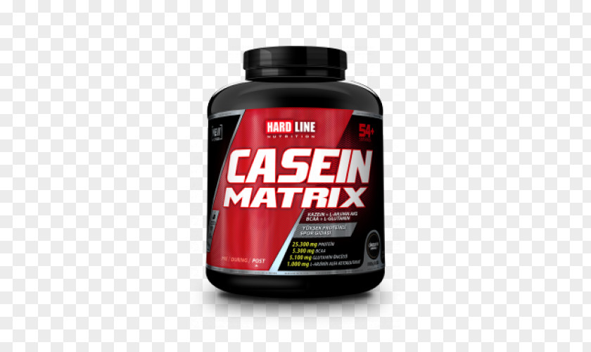 Casein Kinase 2 Dietary Supplement Nutrient Protein Tozu PNG