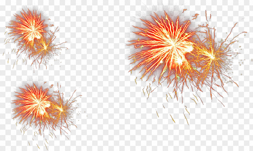 Fireworks 2016 San Pablito Market Explosion PNG