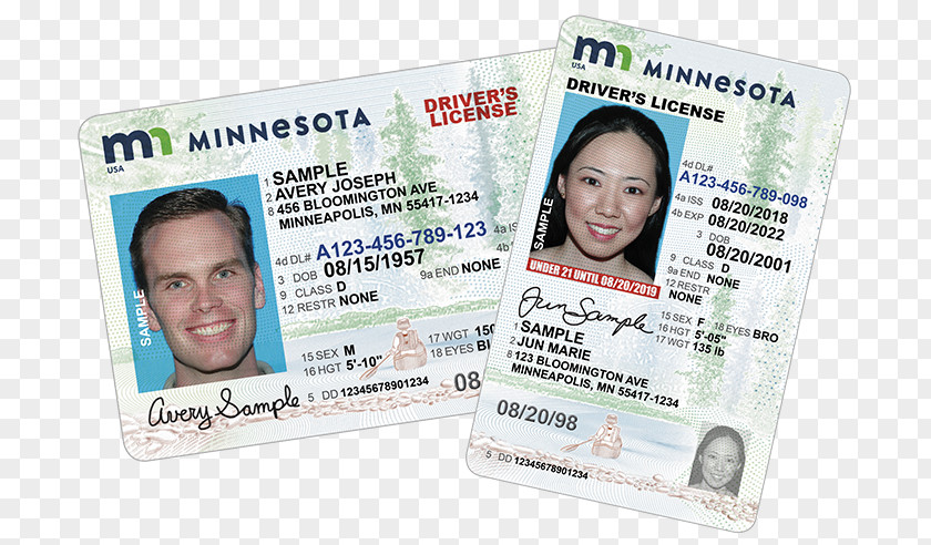 Illegal Gambling Statement Minnesota Driver's License Driving Identity Document PNG
