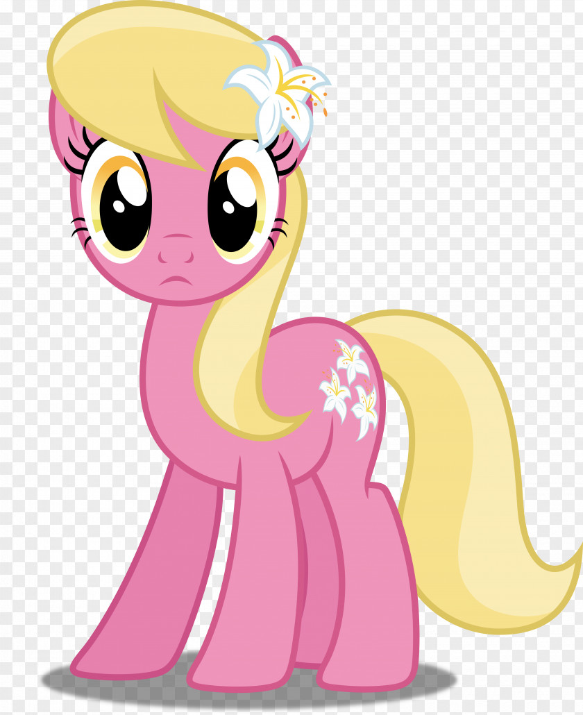 Lily Of The Valley My Little Pony Lilium PNG