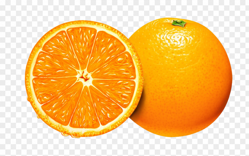 Orange Clip Art PNG