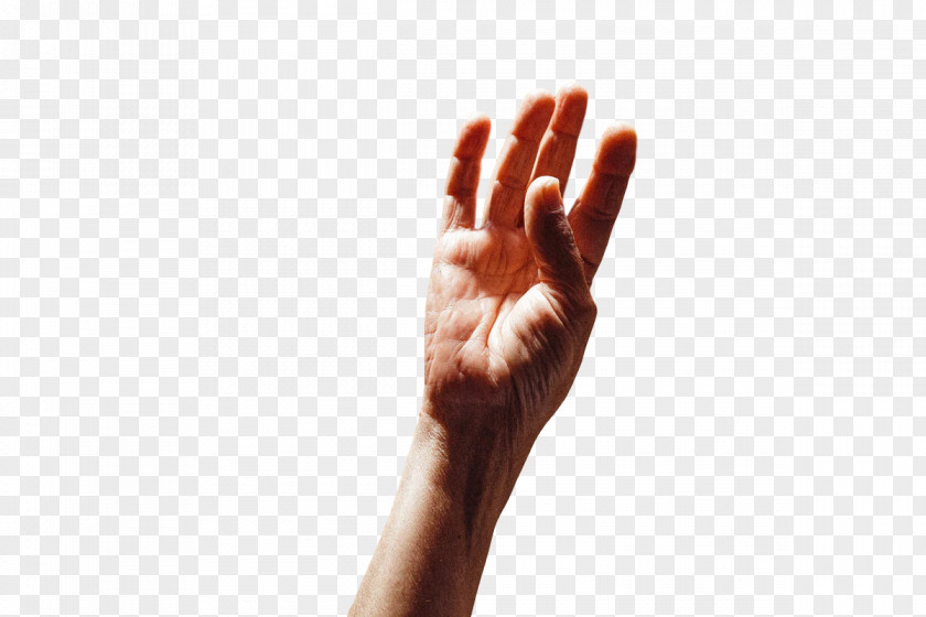 Sign Language Hand Model Joint PNG