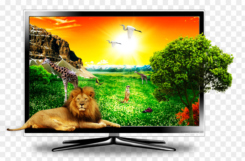 Tv Television Set Computer Monitors Display Device Liquid-crystal PNG