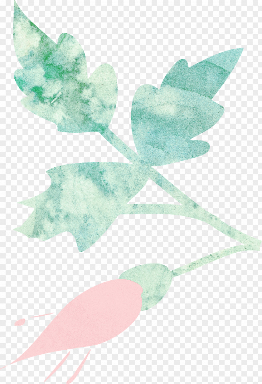 Watercolour Floral Butterfly Turquoise Teal Pollinator Petal PNG