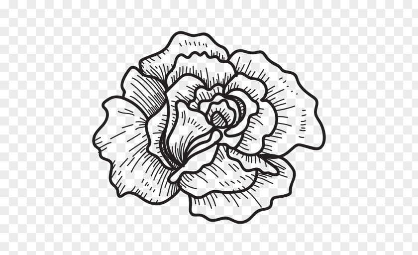 Design Floral Drawing PNG