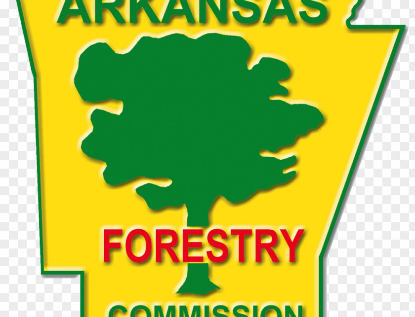 Forest Arkansas Forestry Commission Sustainable Management Alabama PNG