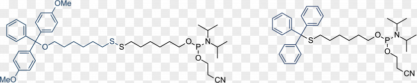 Oligonucleotide Synthesis Chemical Phosphoramidite Chemistry PNG