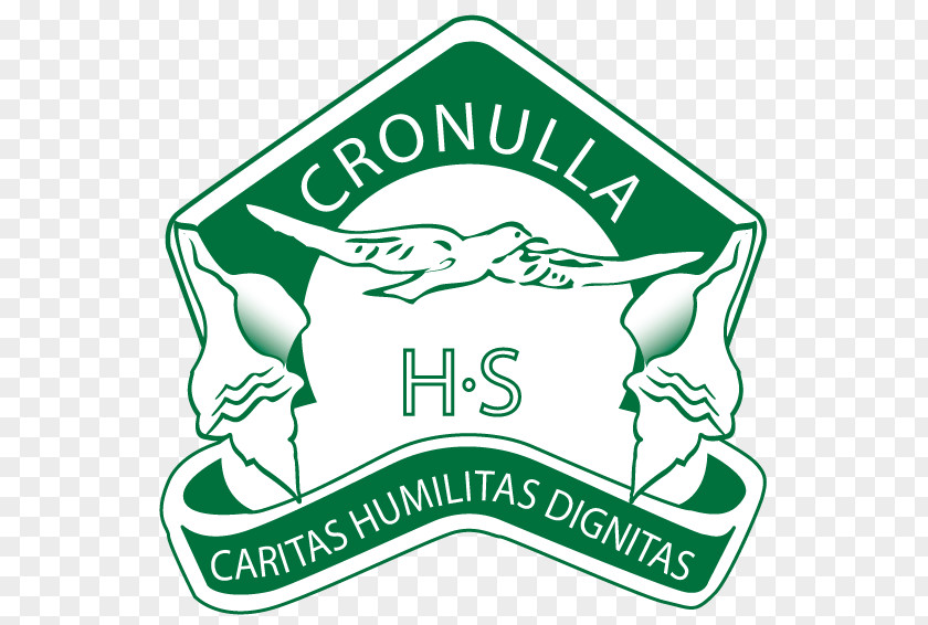 School Cronulla High Education National Secondary Cronulla-Sutherland Sharks PNG