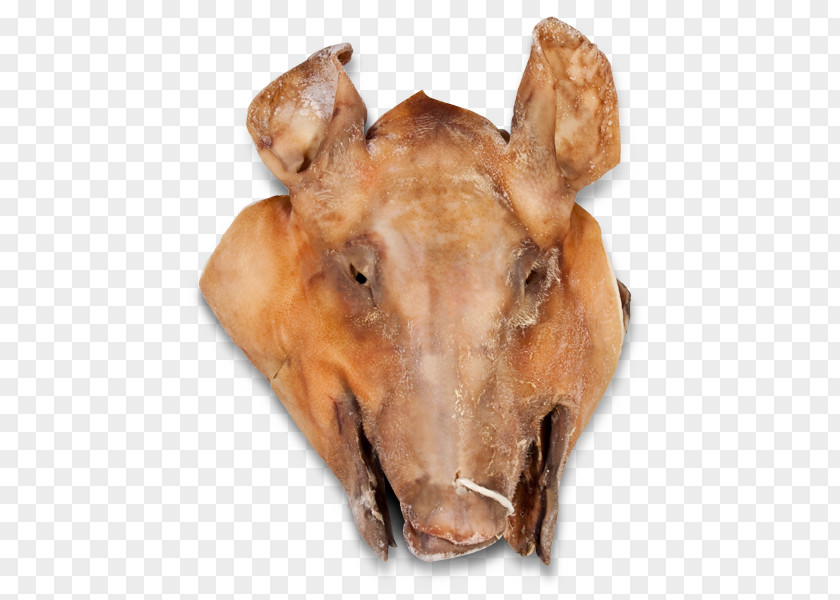 Bacon Pig's Ear Cocido Domestic Pig Fabada Asturiana PNG