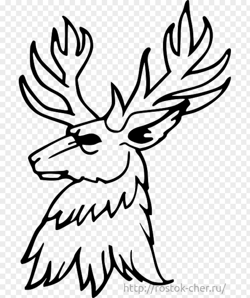 Deer Drawing Antler Clip Art PNG