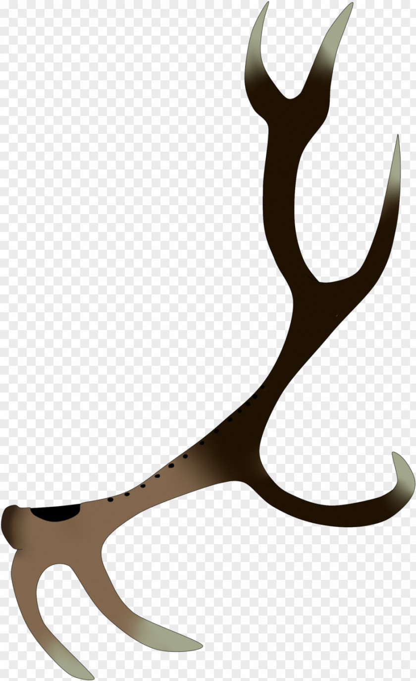 Deer Horn Drawing PNG