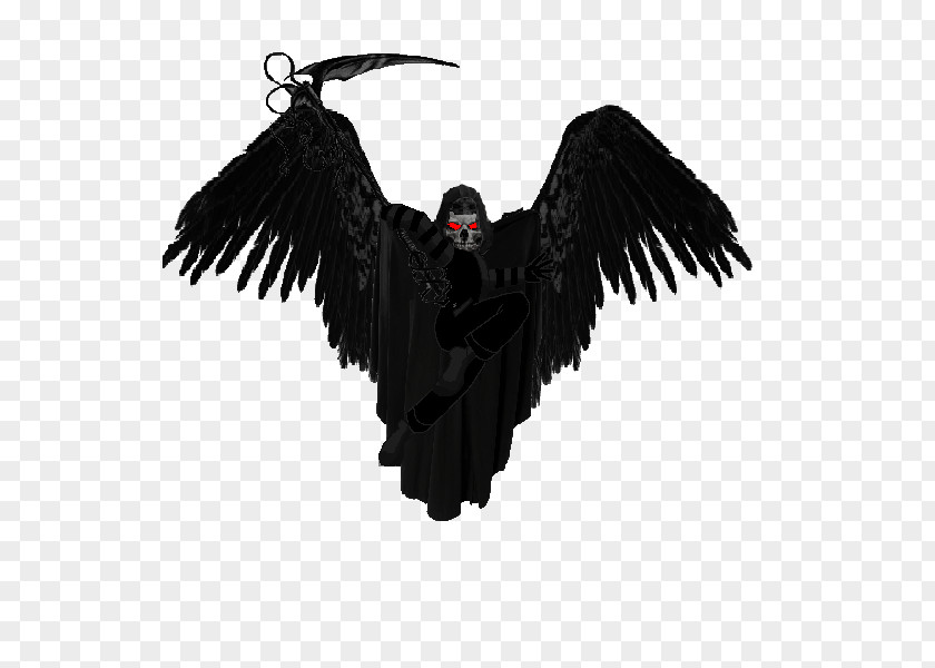 Feather Vulture Beak Legendary Creature Supernatural PNG