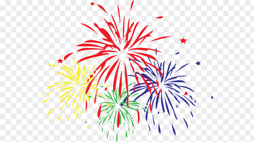 Fireworks Canada Day Festival Clip Art PNG