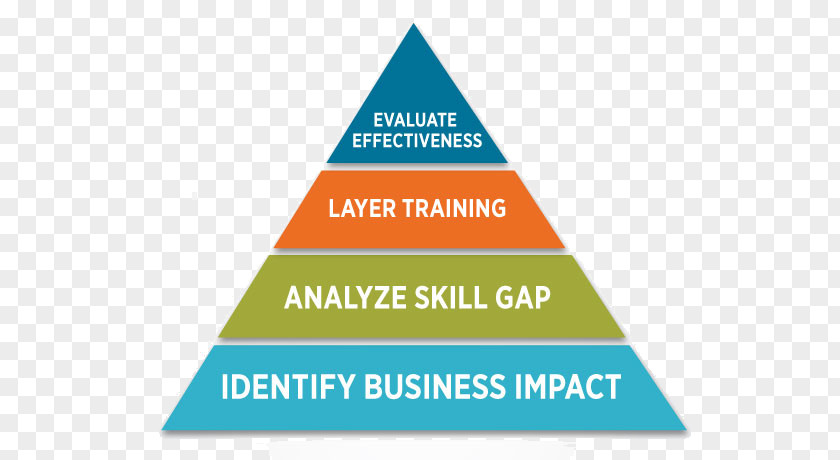 Talent Pipeline Training And Development Résumé Career Organization PNG