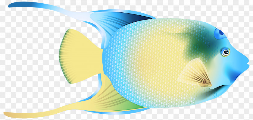 Butterflyfish Fish Yellow PNG