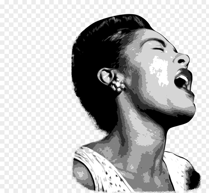 Fireworks Function Billie Holiday /m/02csf Lady Sings The Blues Drawing Chin PNG