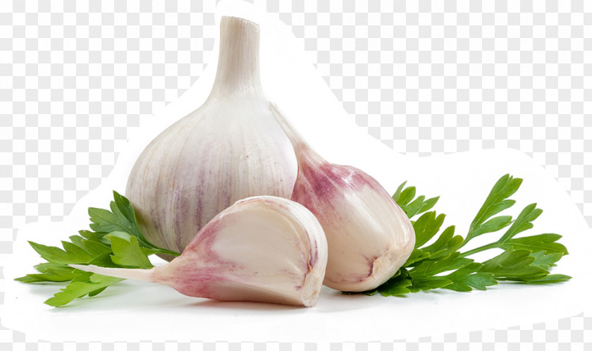 Garlic Food Dietary Supplement Vegetarian Cuisine Health PNG