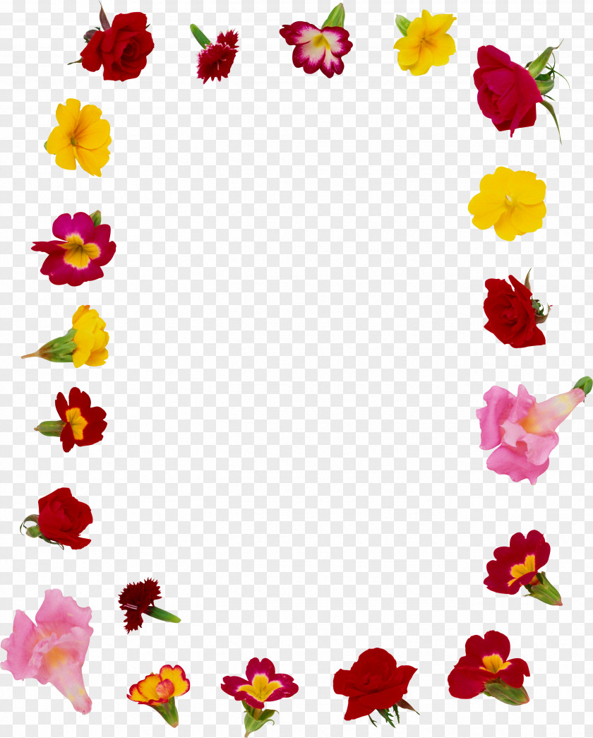 Yellow Frame Edible Flower Picture Frames Garden Roses PNG