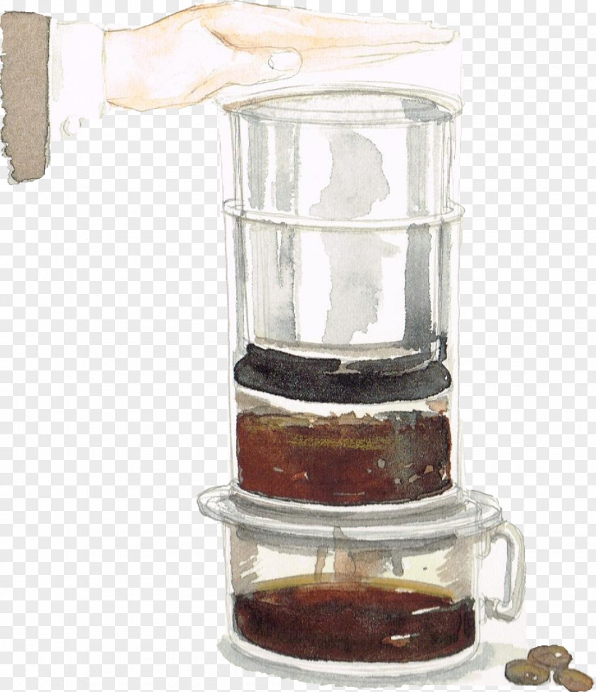 Brewed Coffee AeroPress Roasting Bean Arabica PNG