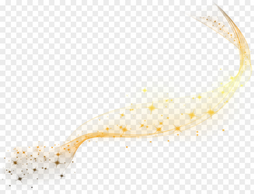 Flash Light Worm Organism PNG